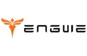 Engwe Logo