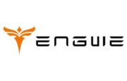 Engwe DE Logo