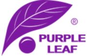 Purple Leaf Logo