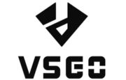 VSGO Logo