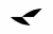 RayNeo Logo